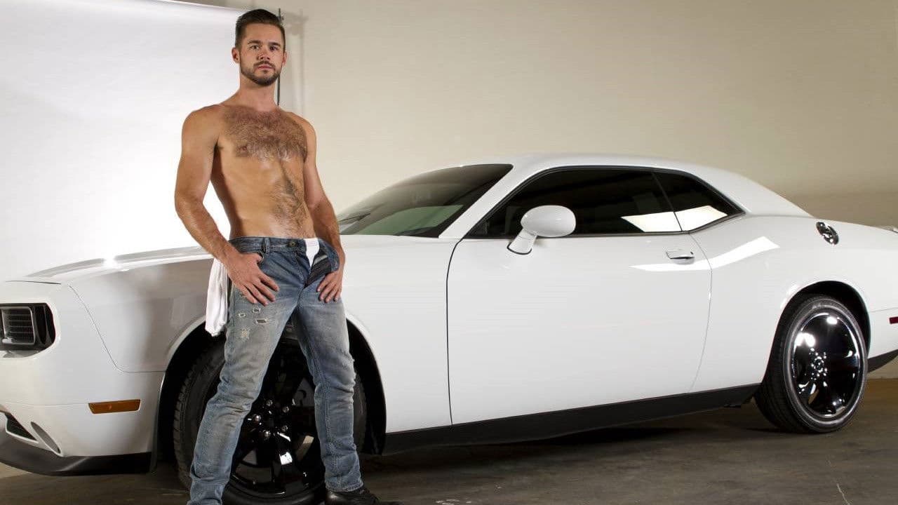 Auto Erotic Collection