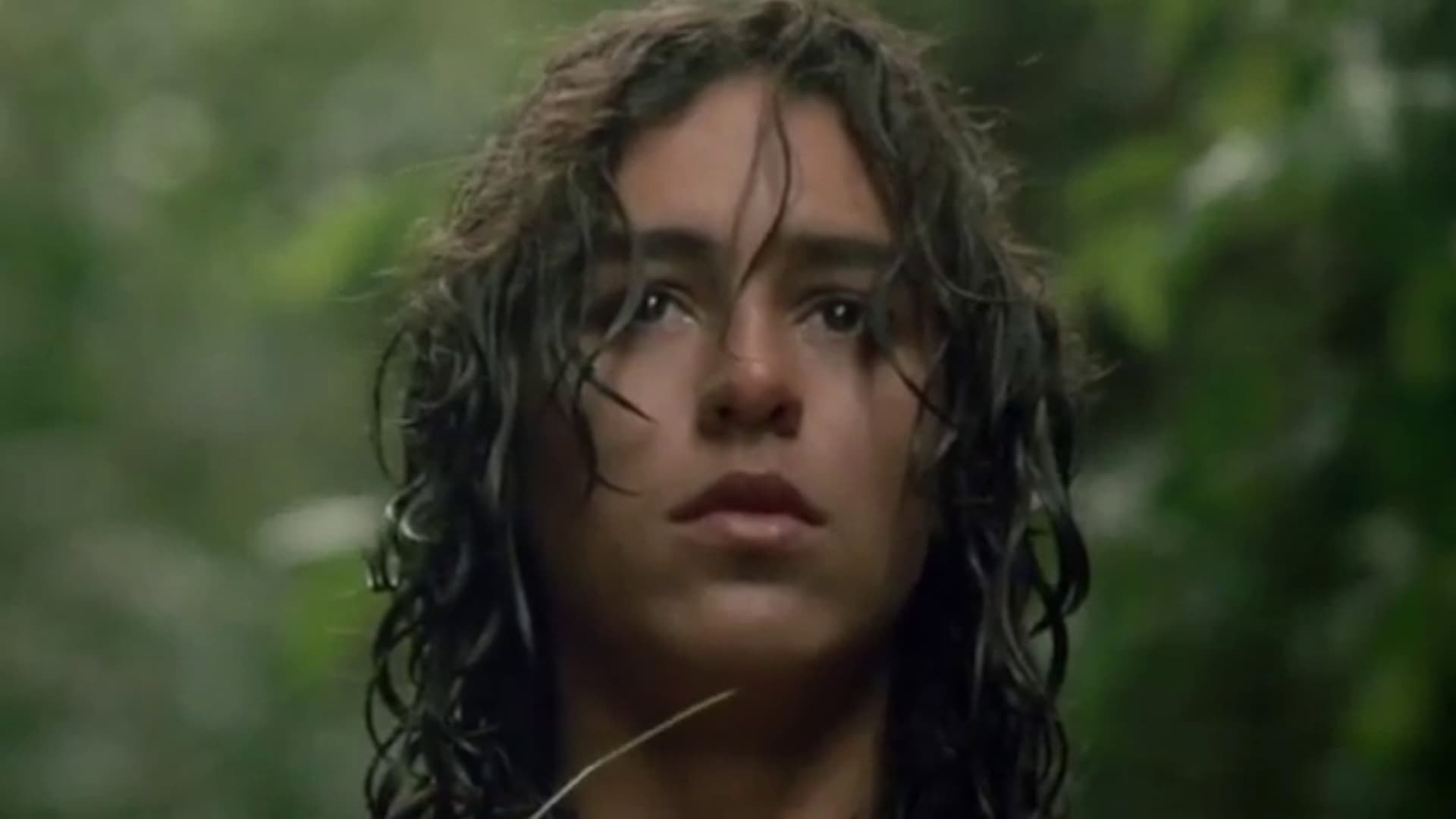 The Tigress