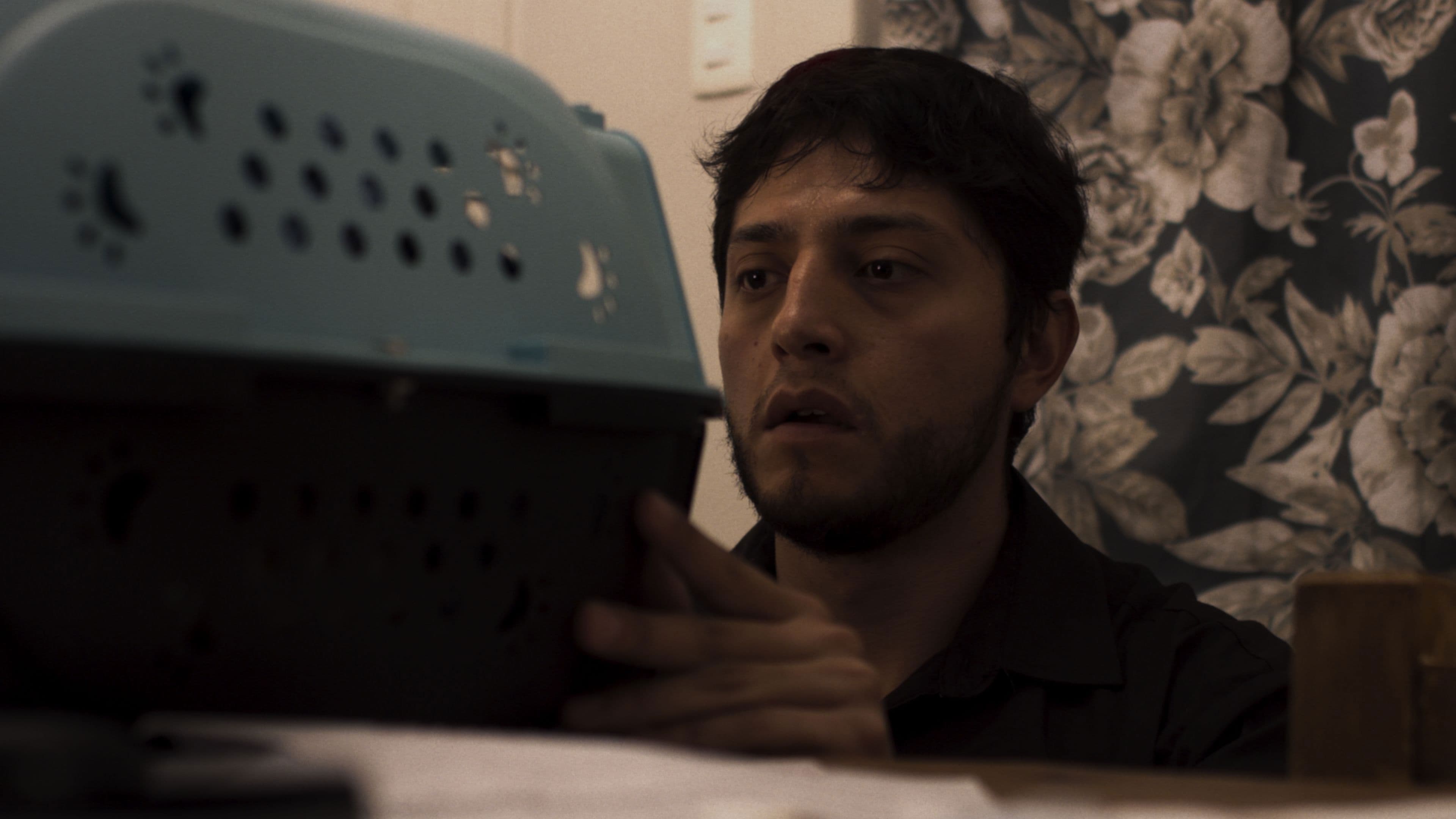 I Plead Time Does Not Take You Away