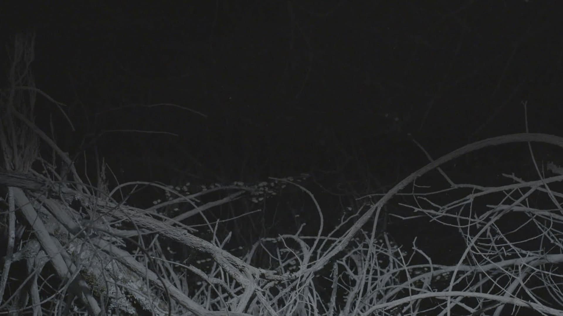 All the Planets in My Heart