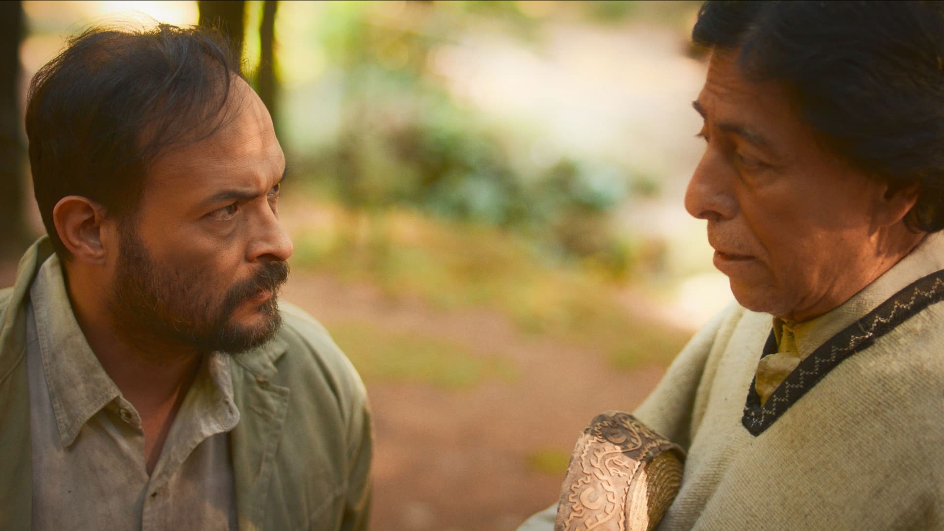 WHAT HIDES WHITIN THE SHADOWS