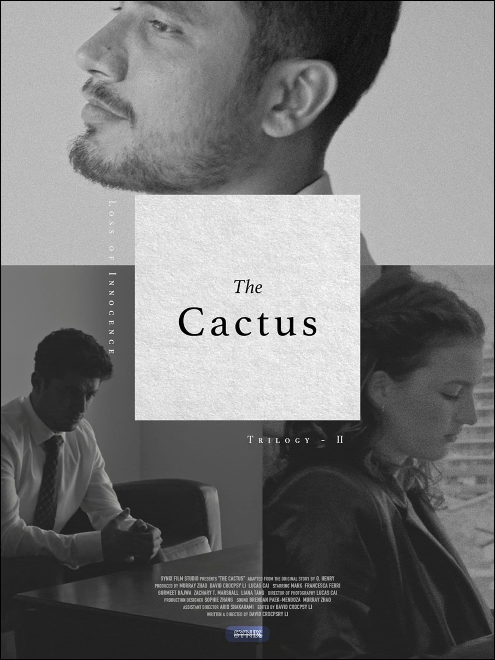 The Cactus