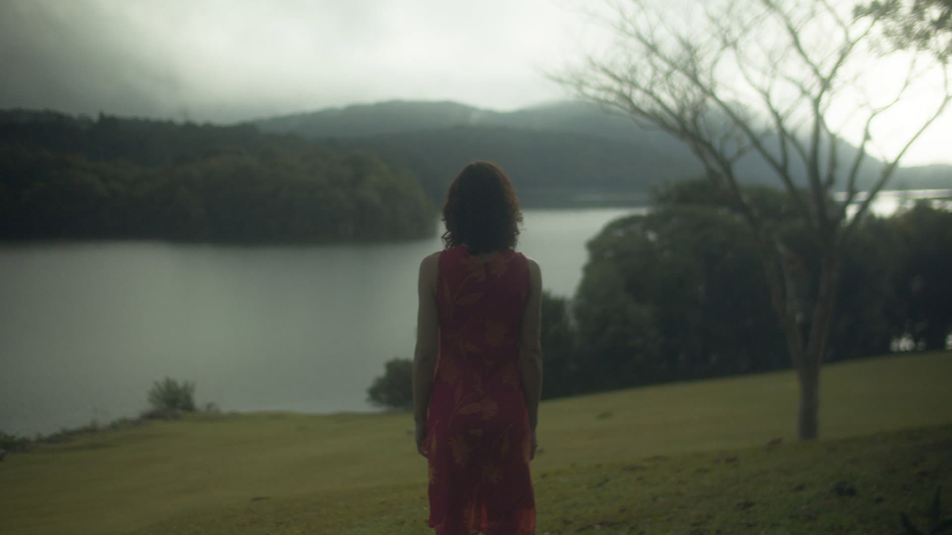 The places you wander