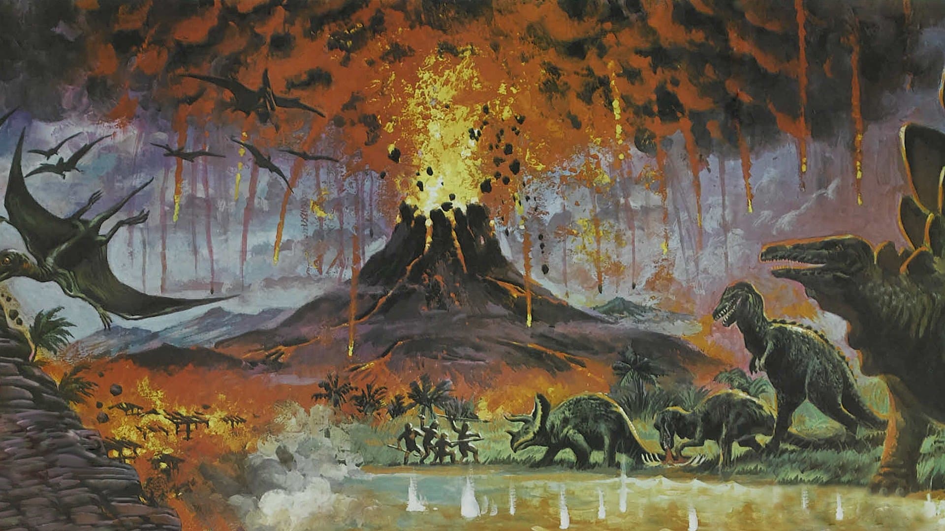 Caprona (Amicus) Collection