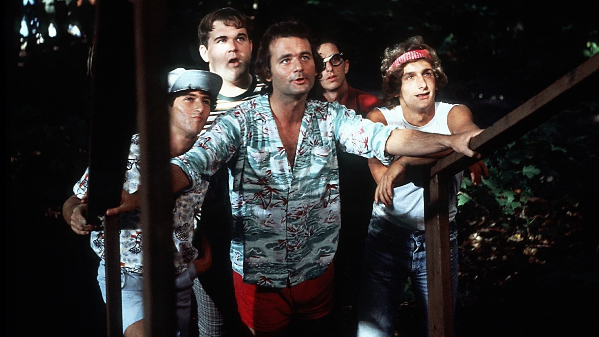 Meatballs Collection