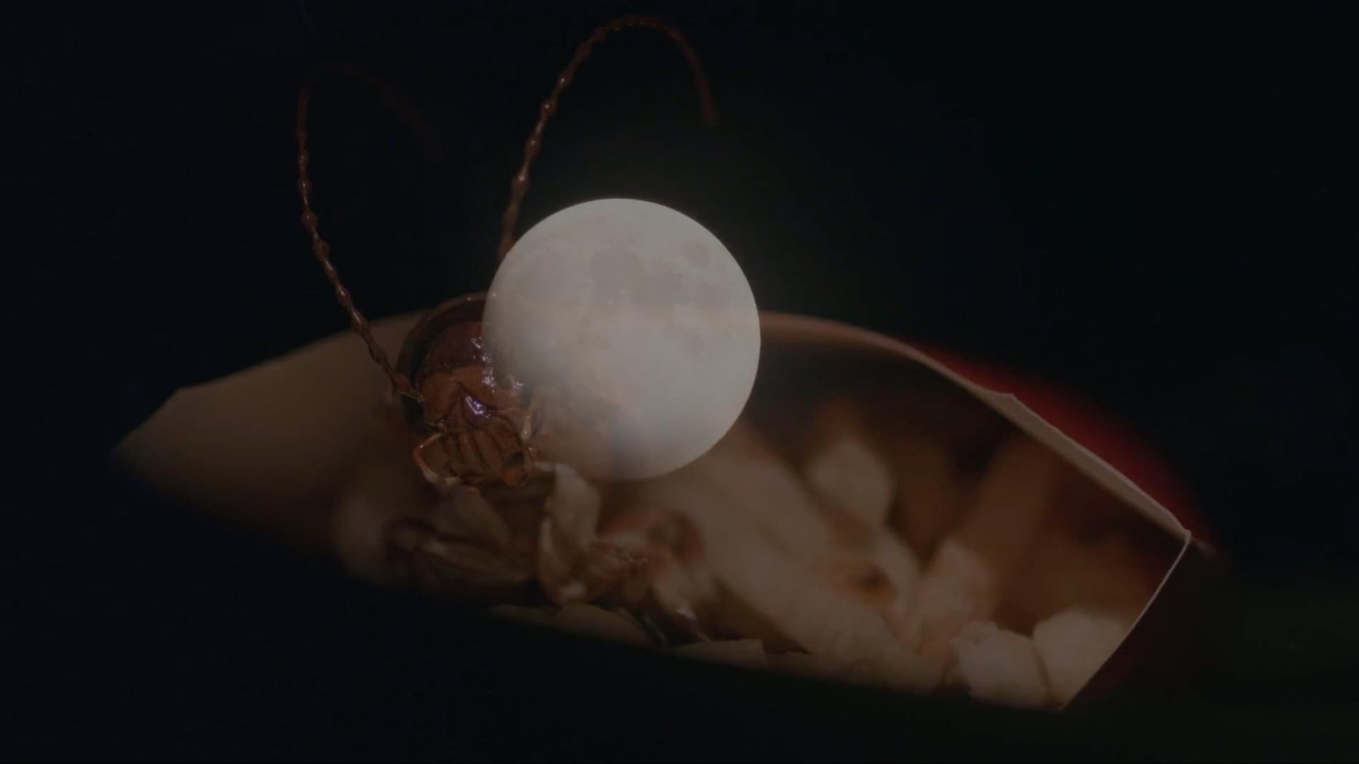Roach Trip