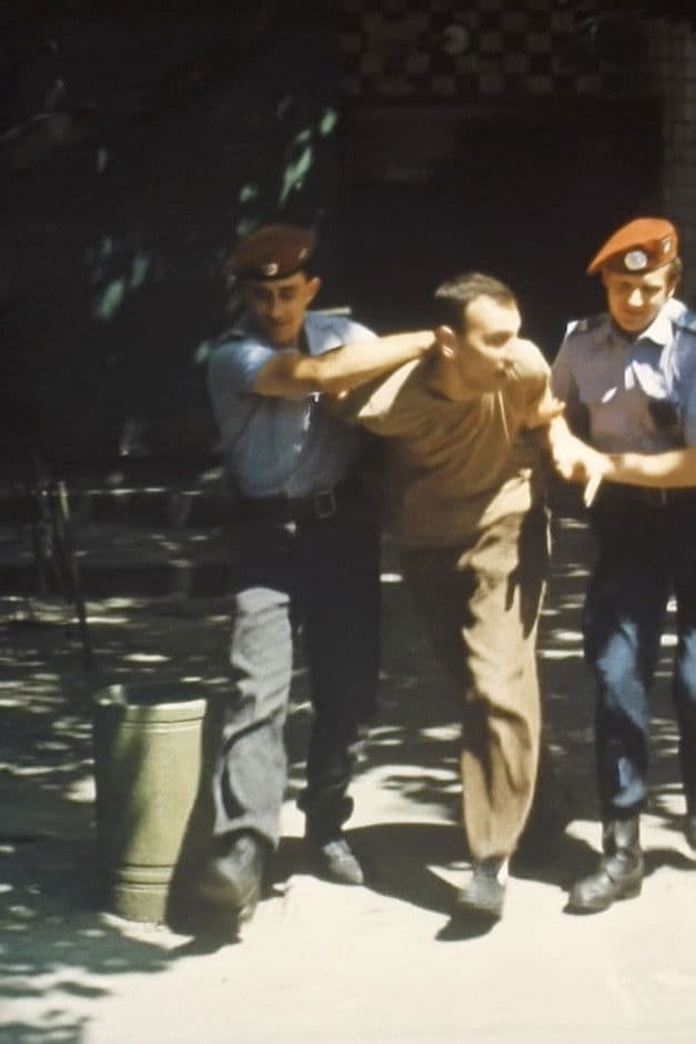 The Public Order Protection System in Ukraine