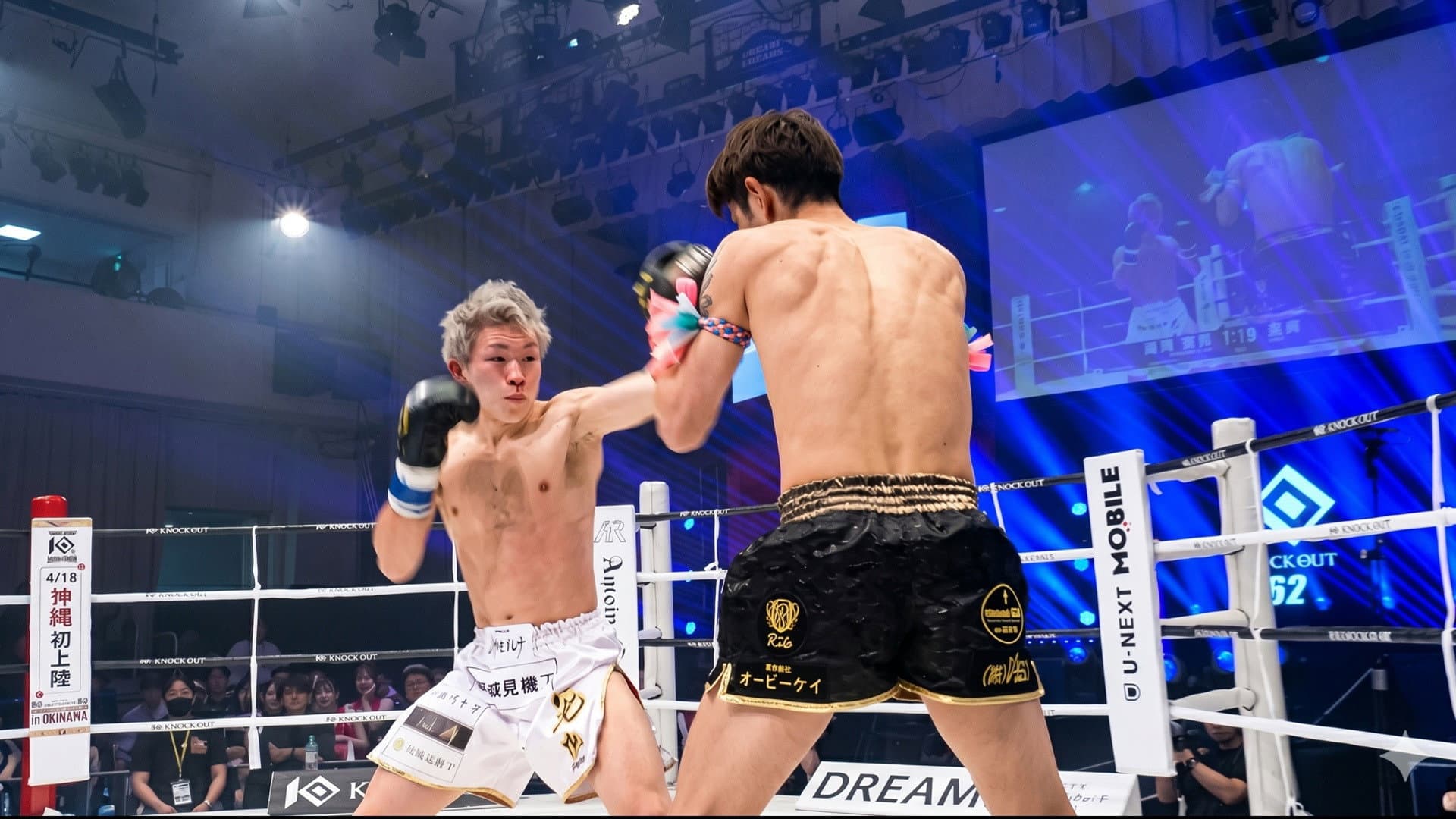 KNOCK OUT 62