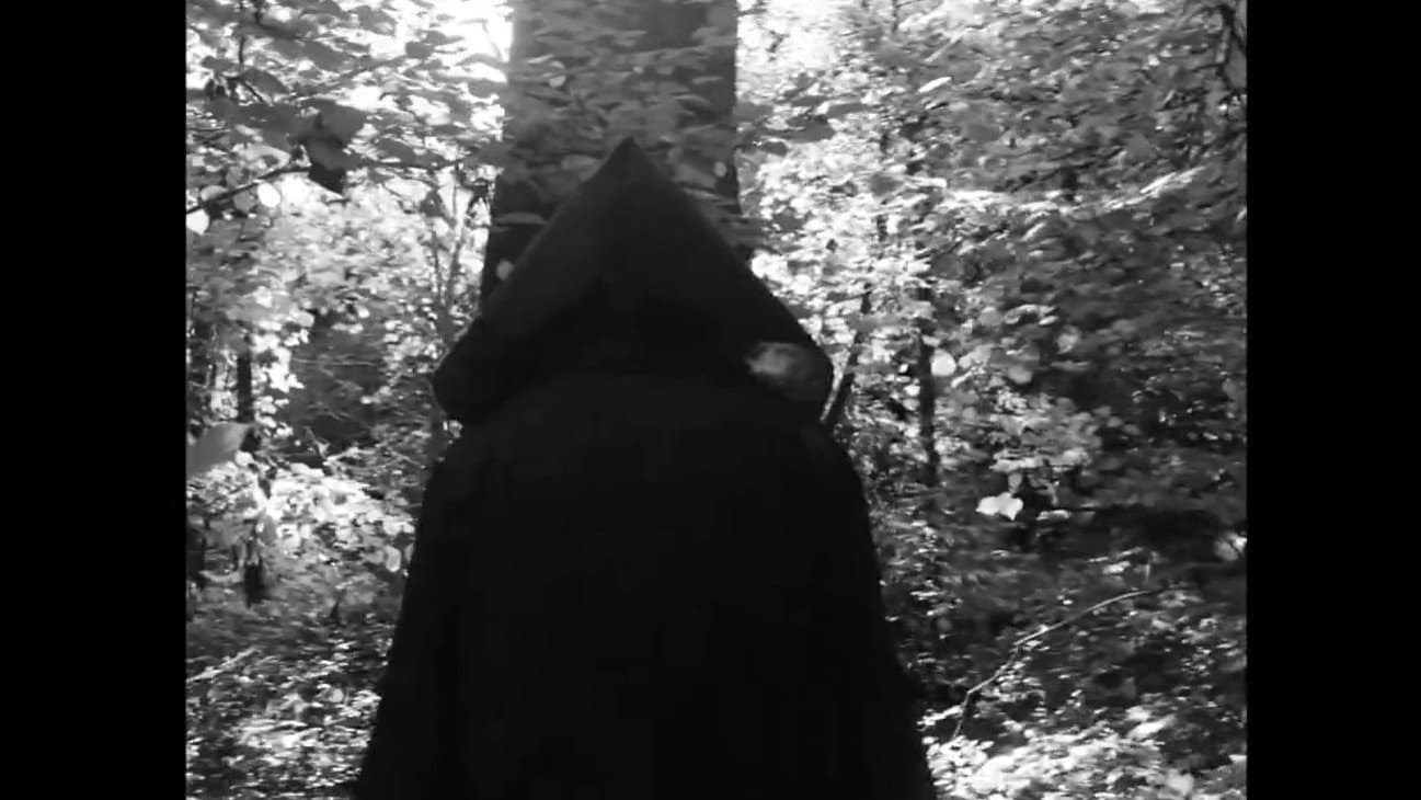 Echo of The Woods