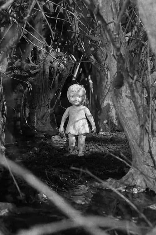 On the Other Side of the Woods