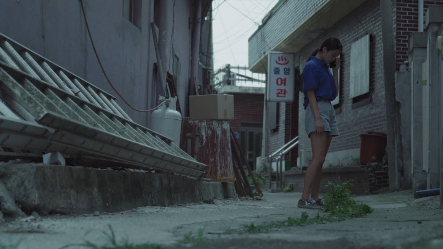 The Summer That Slipped Away