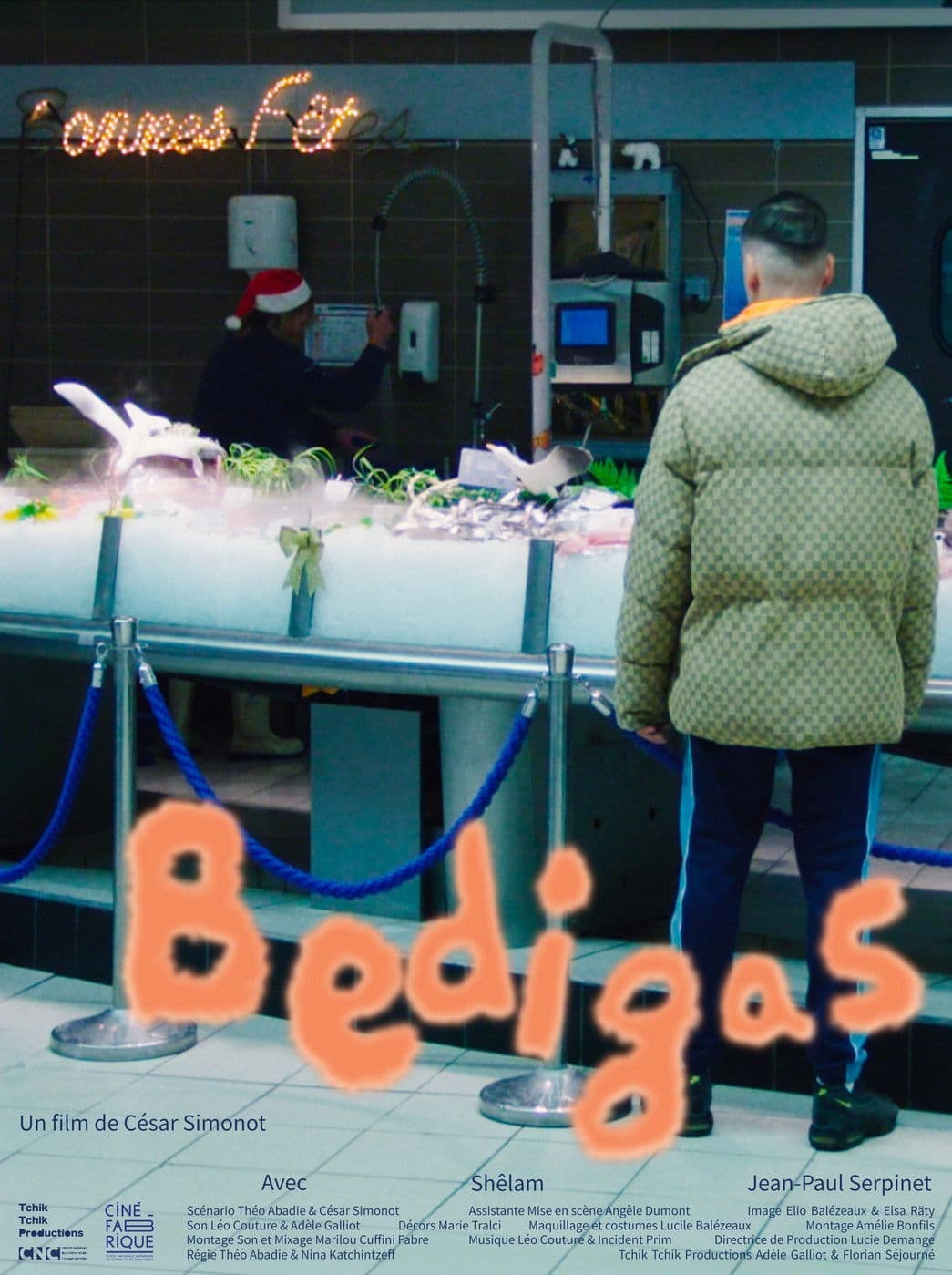 Bedigas