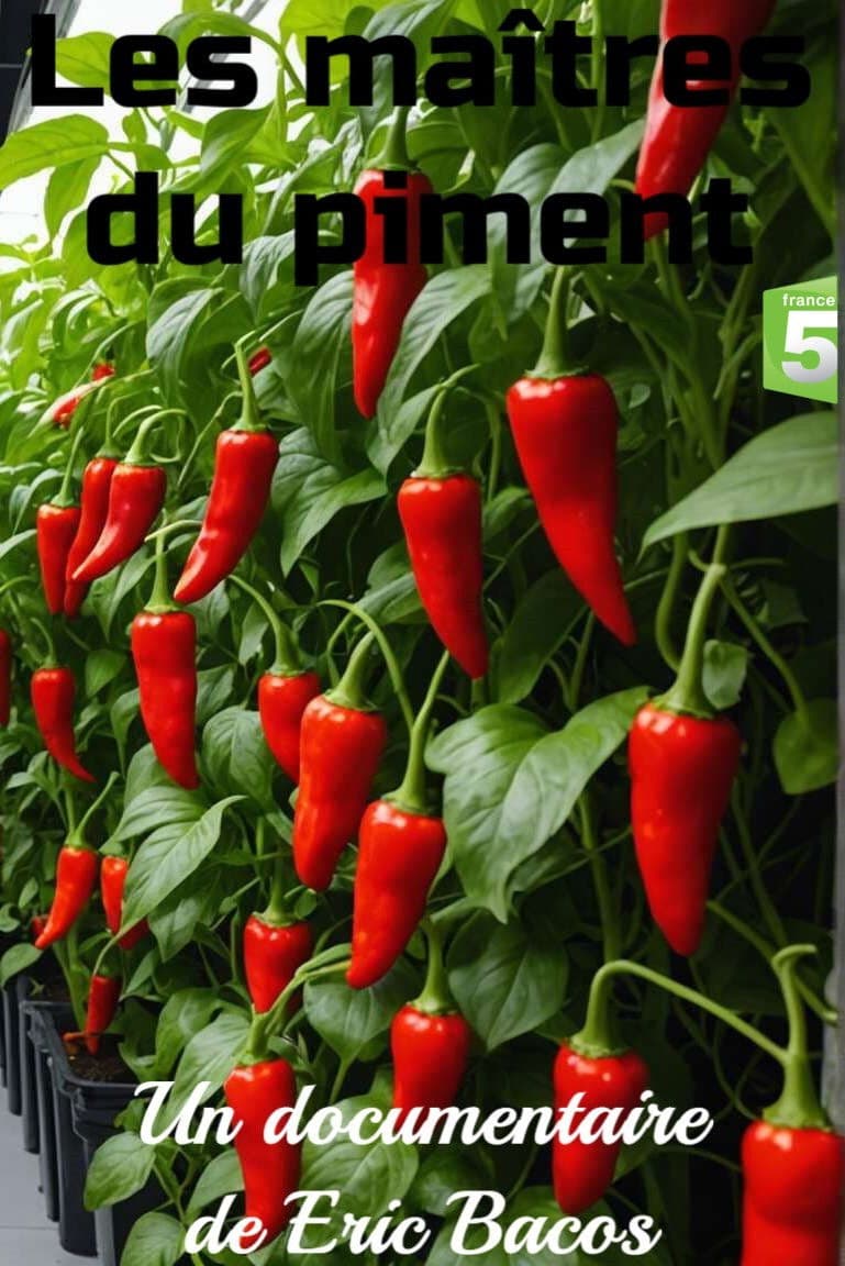 Les maîtres du piment