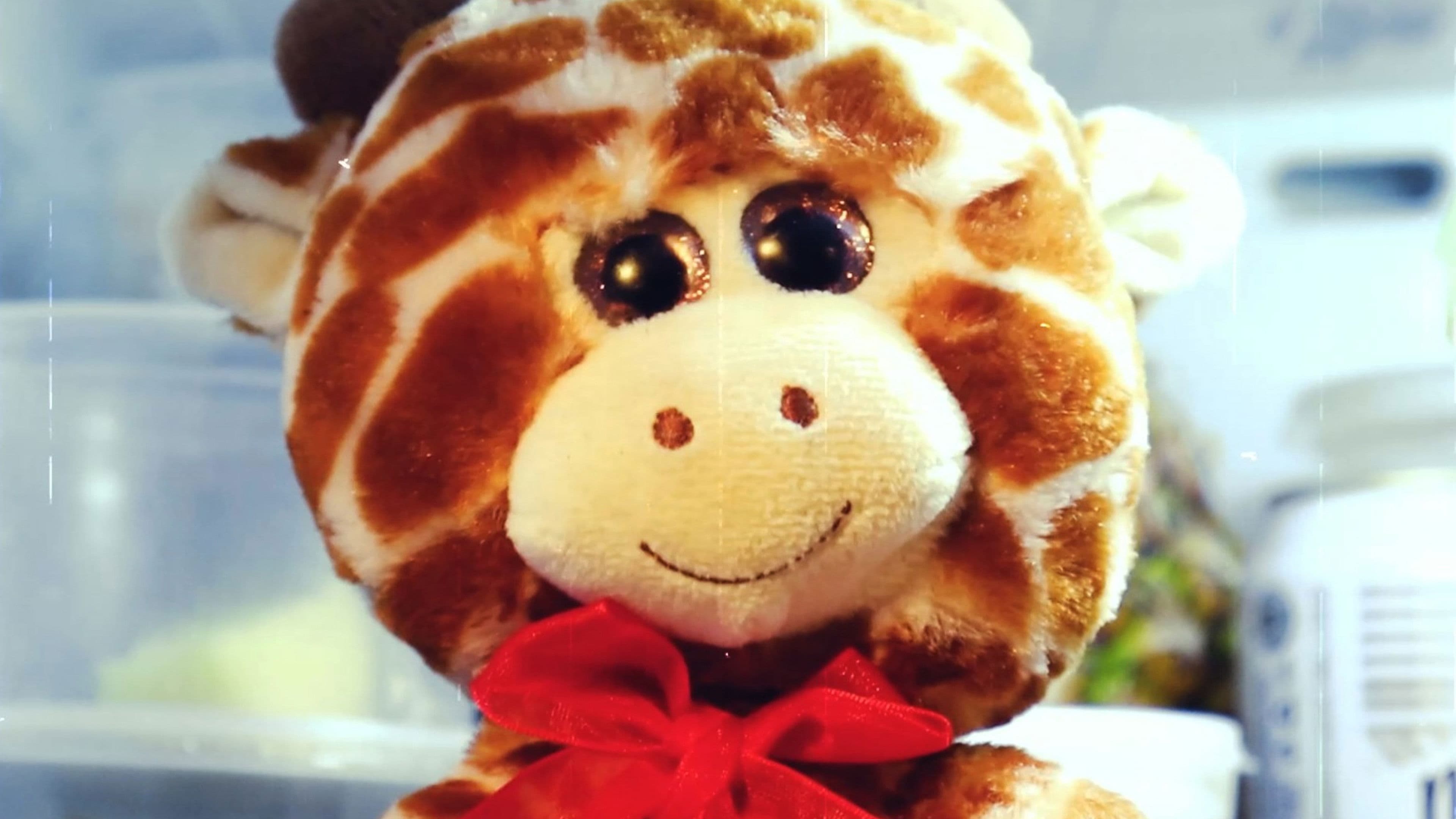 El Peluchoso Encuentro