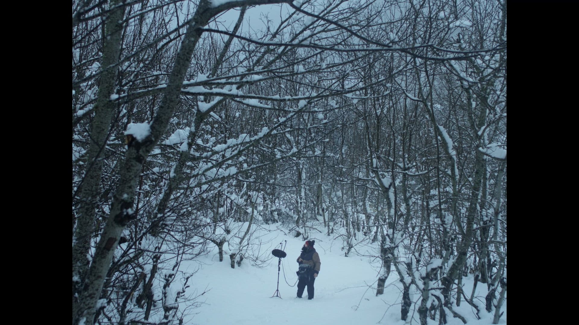 Valle Blanco, Gallo Negro