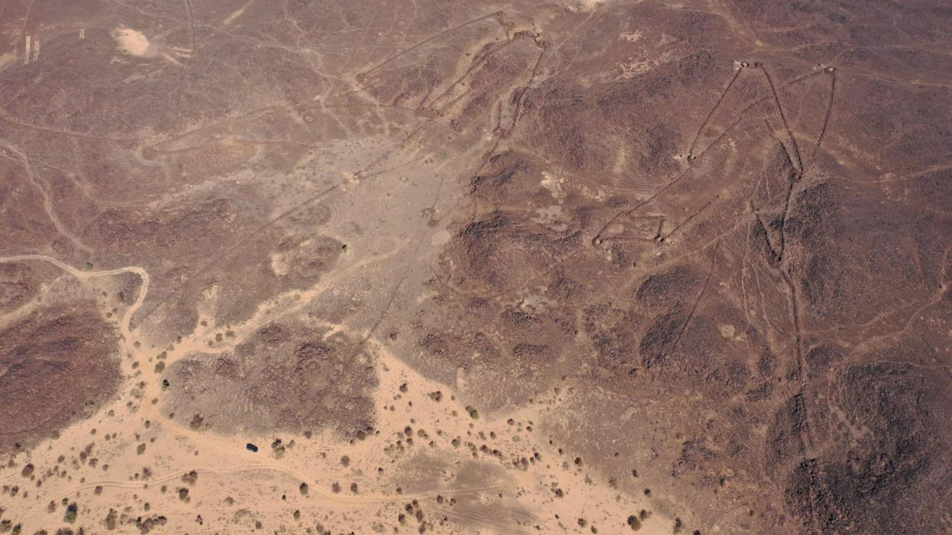 The Mystery of the Desert Kites