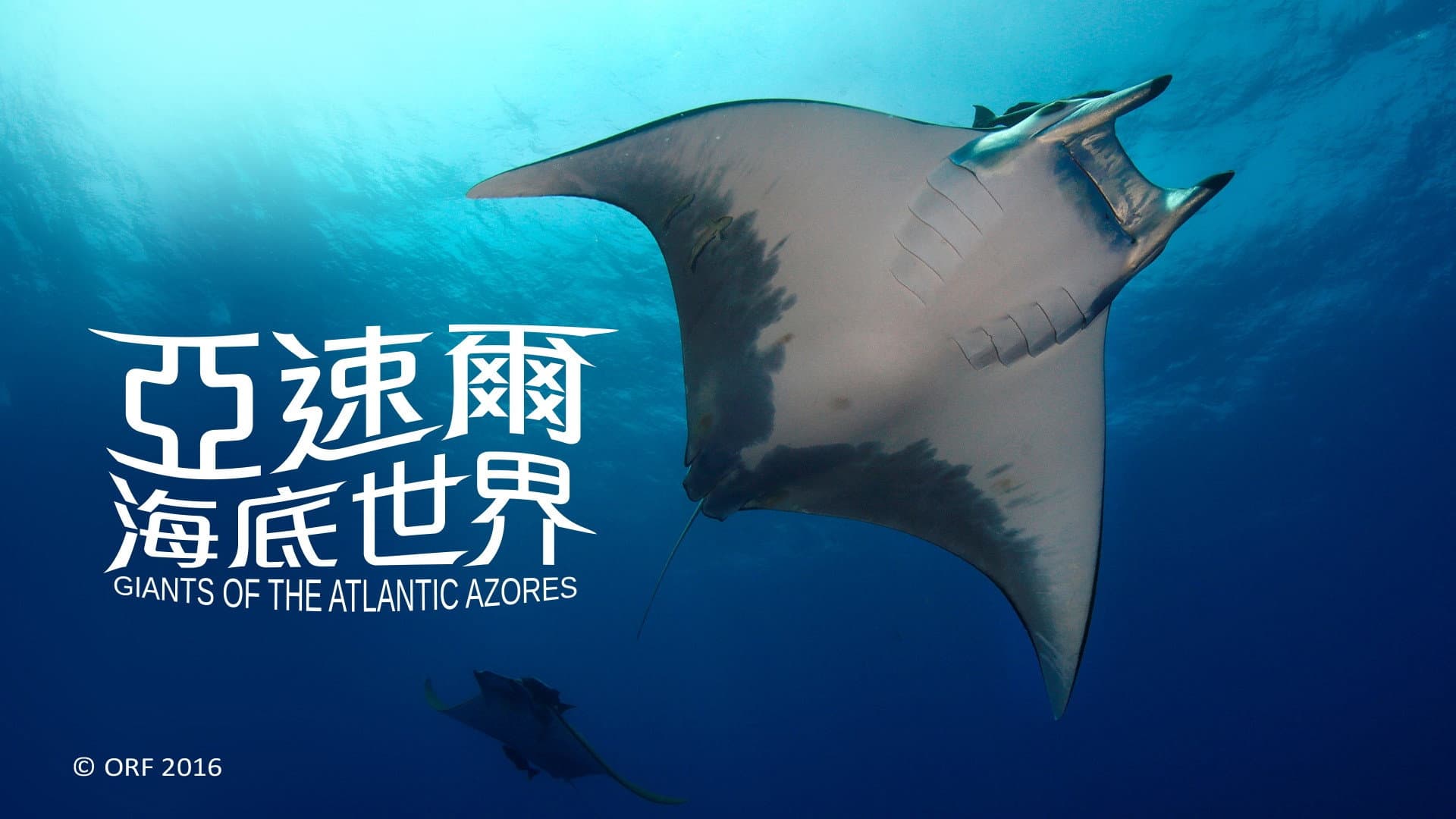 亚速尔海底世界