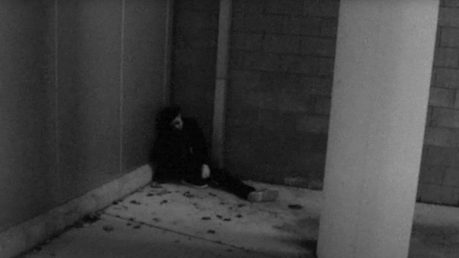 All Stripped Down- An Evening With Tom Waits