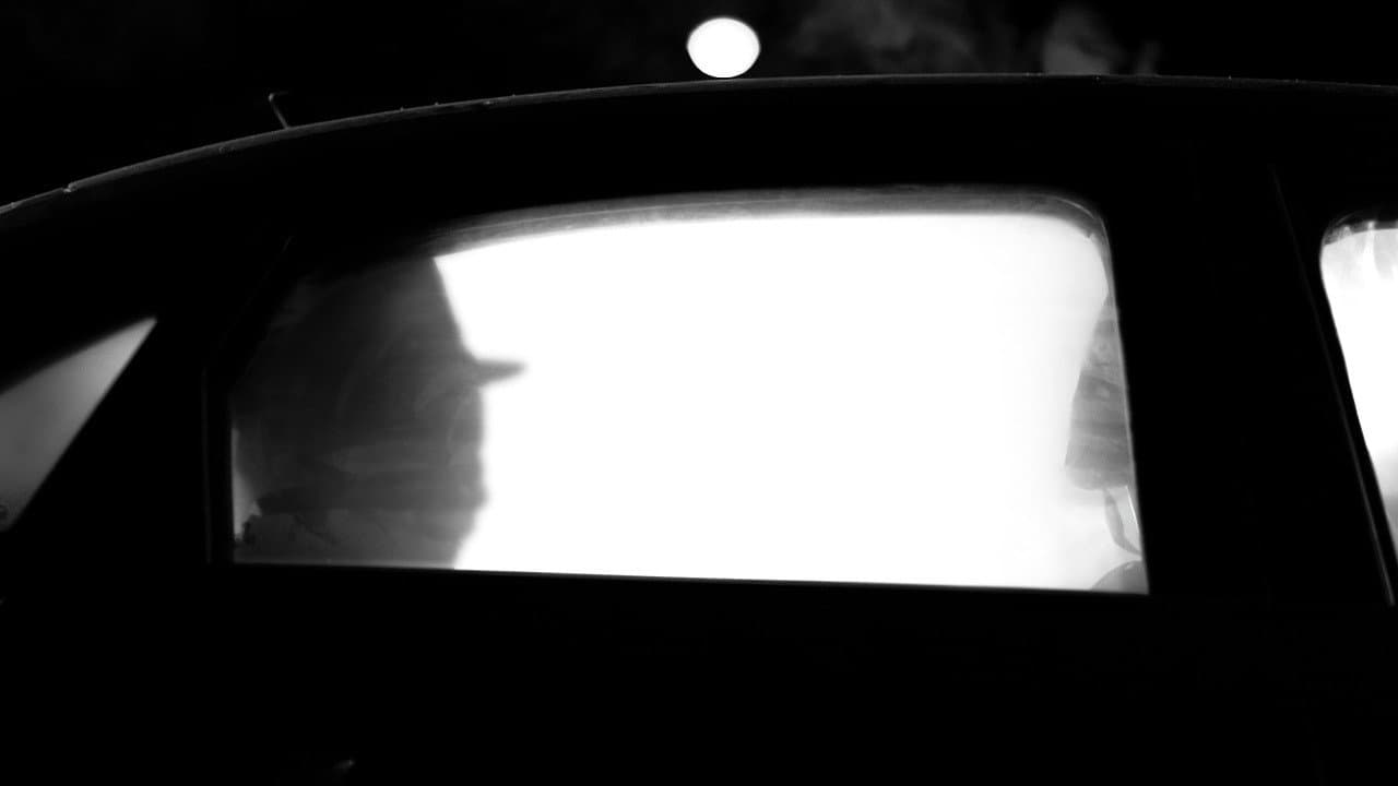 The Backseat