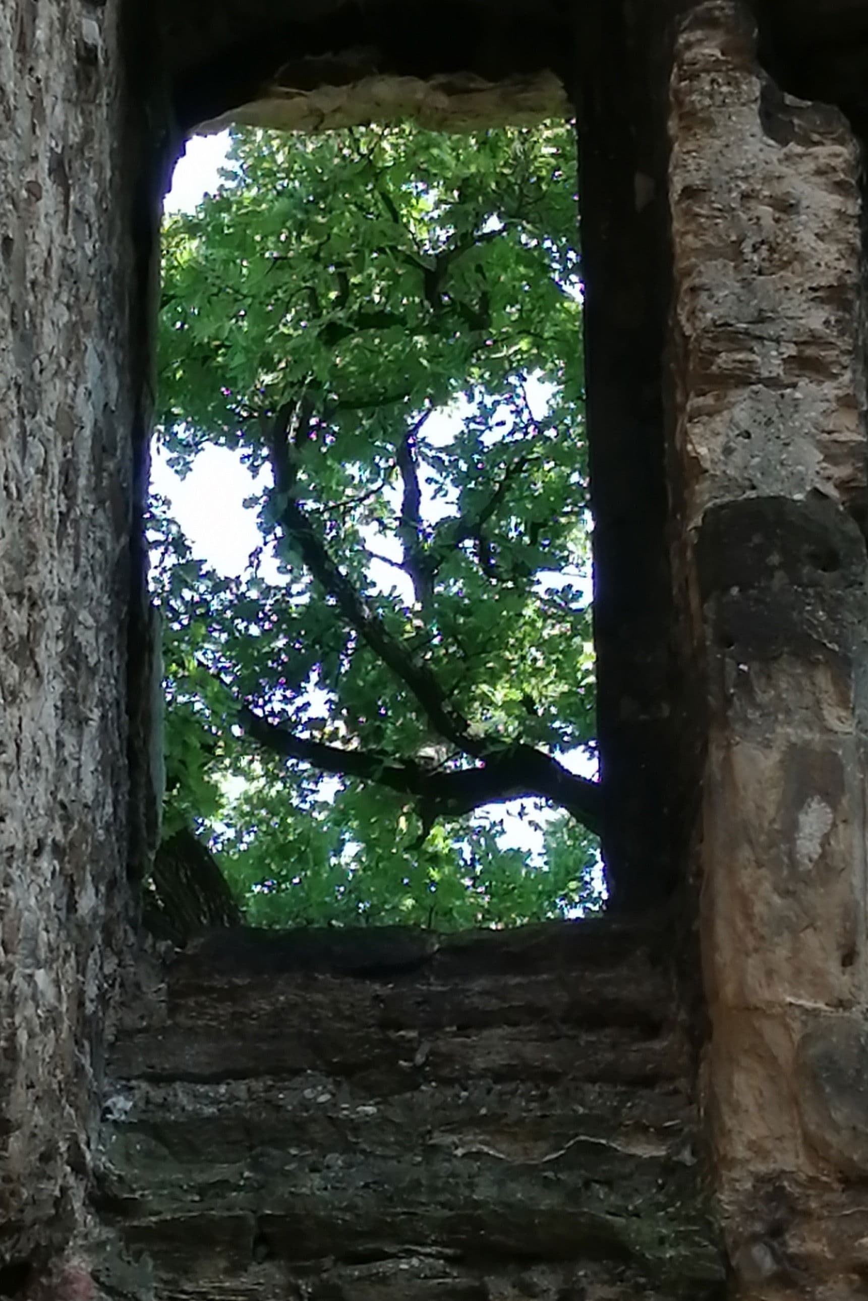 The Ruins of Seyssuel's Castle