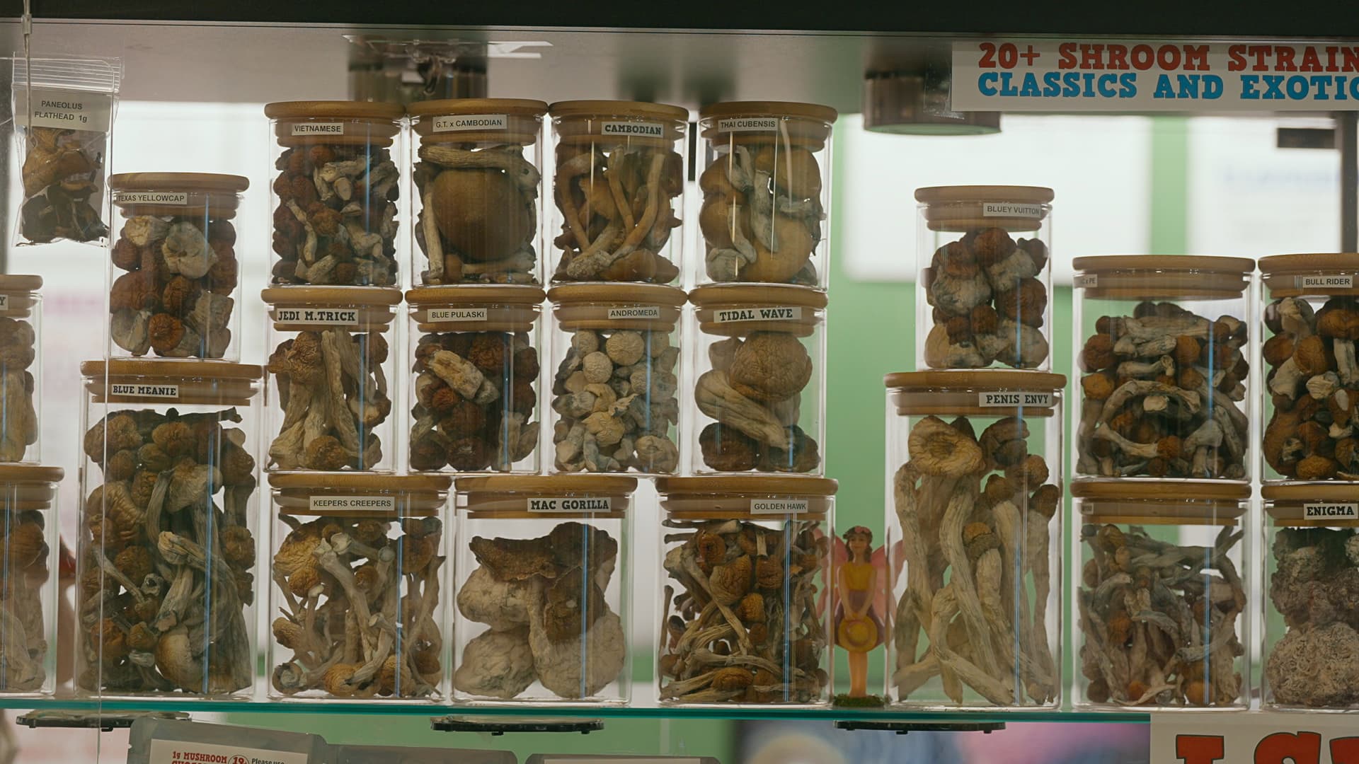 Searching for Drug Peace