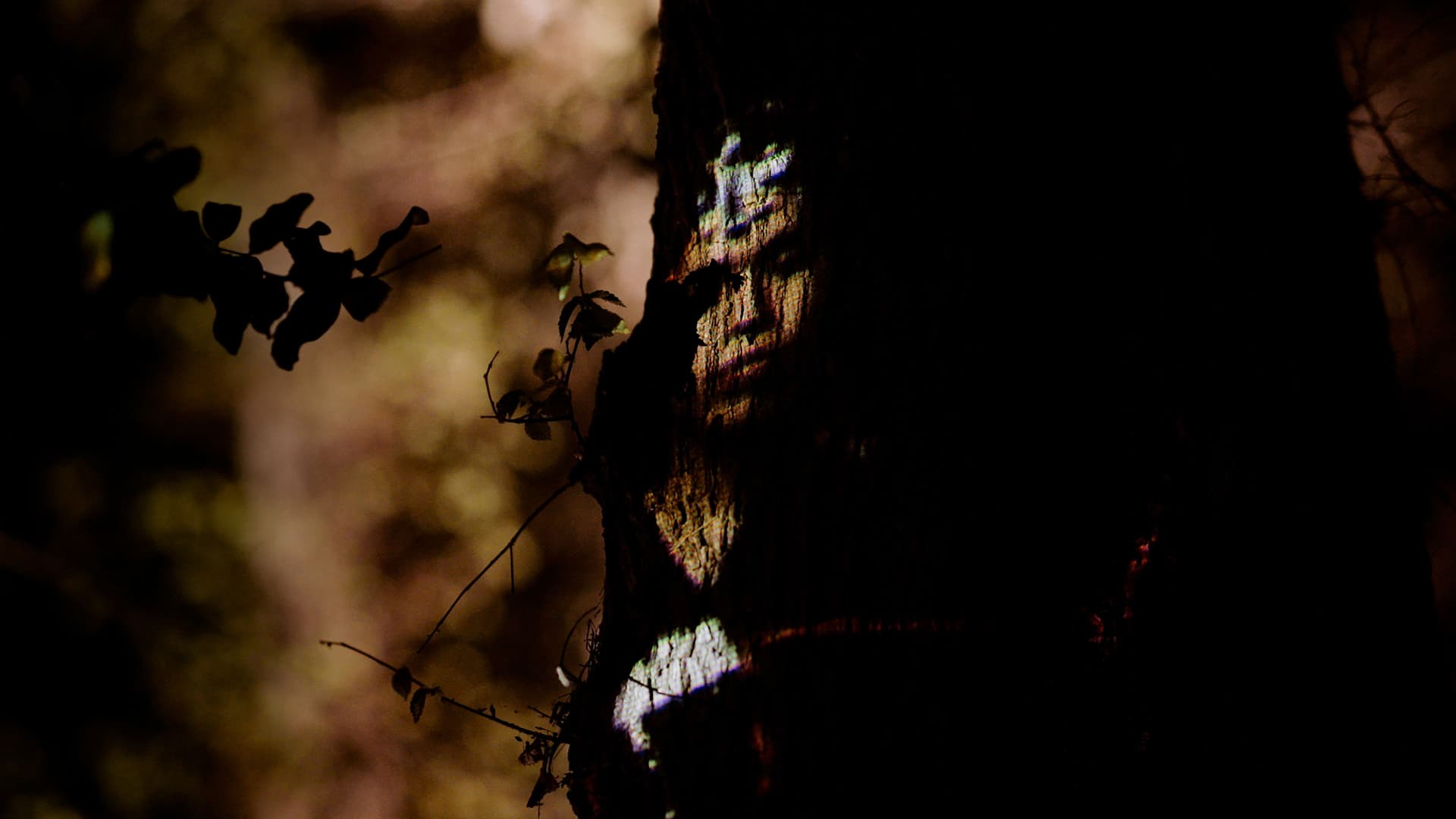 La búsqueda del otro