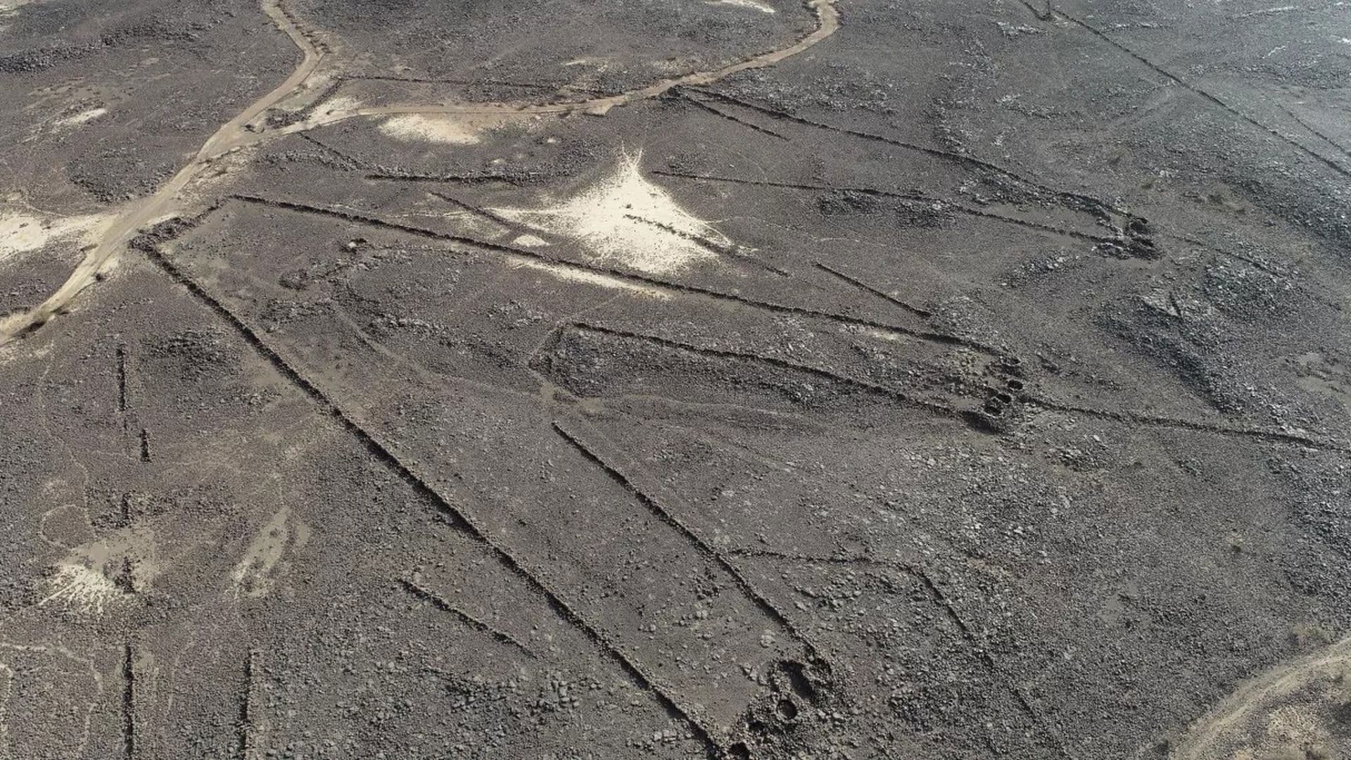 Le mystère des cerfs-volants du désert