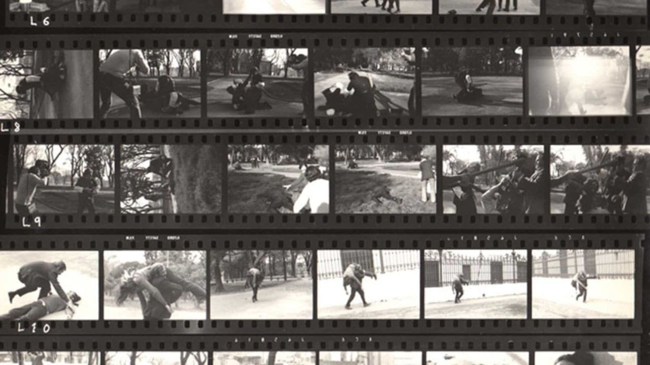 Fragmentos rebelados