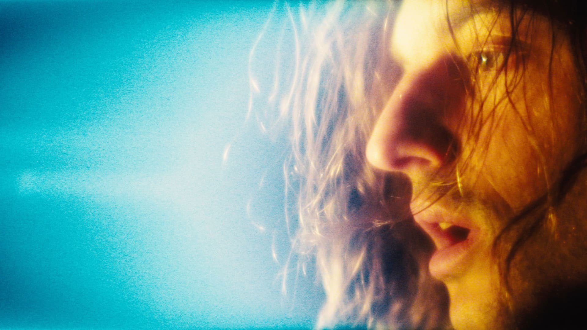 Stellan and the Stars