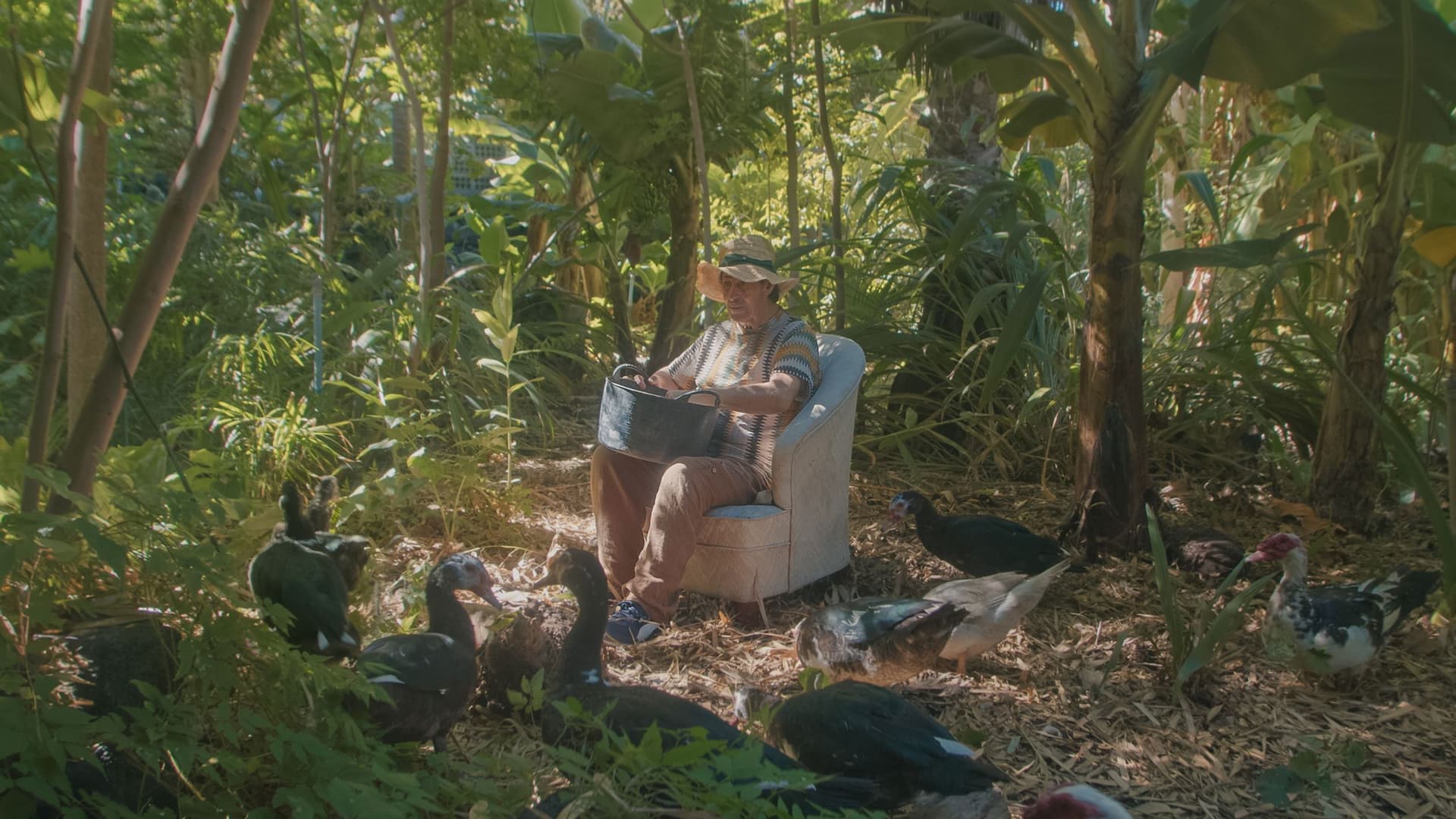 Pedro Tomás Explains The World