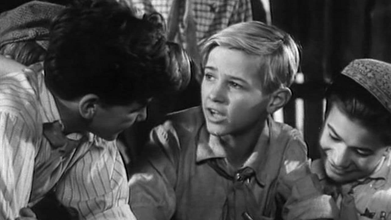 Timur and His Team Collection