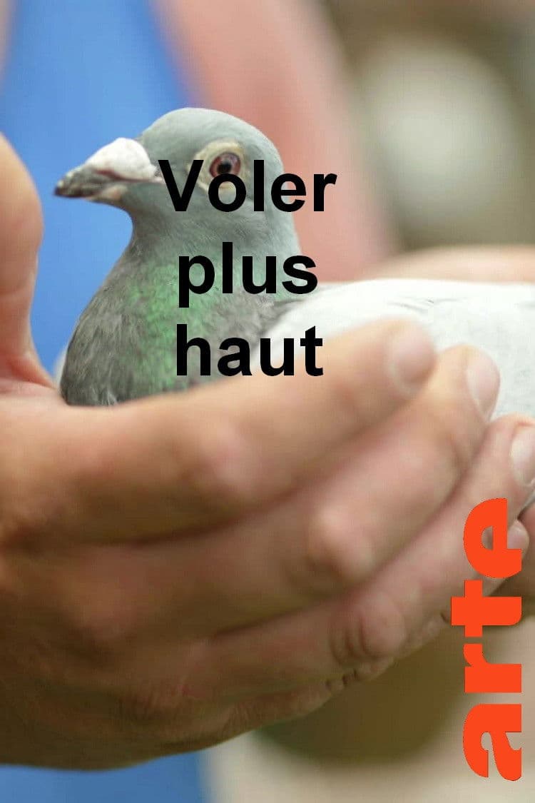 Voler plus haut
