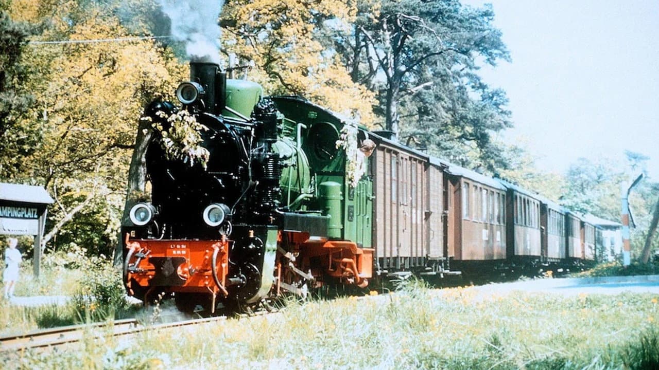 Der rasende Roland