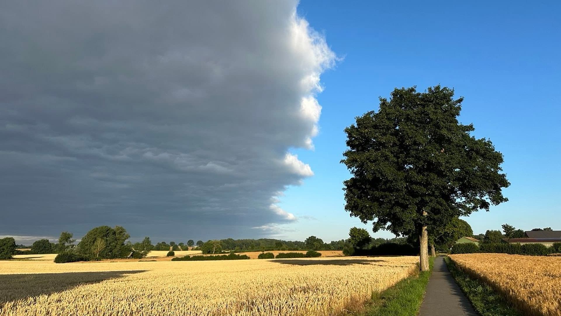 Extreme Weather: Drought and Heavy Rain