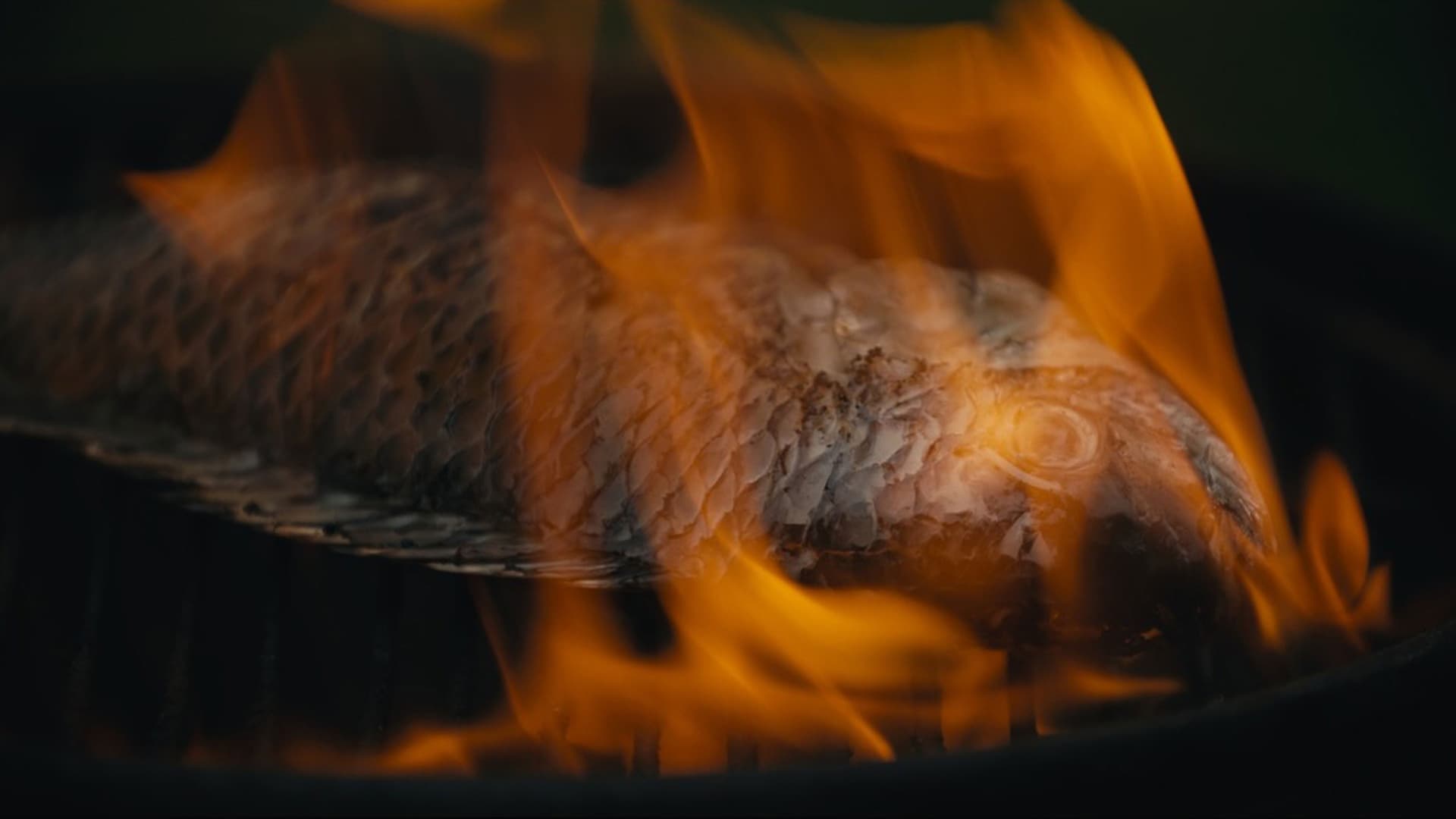 FOUR ARMS, FOUR LEGS AND TWO FACES