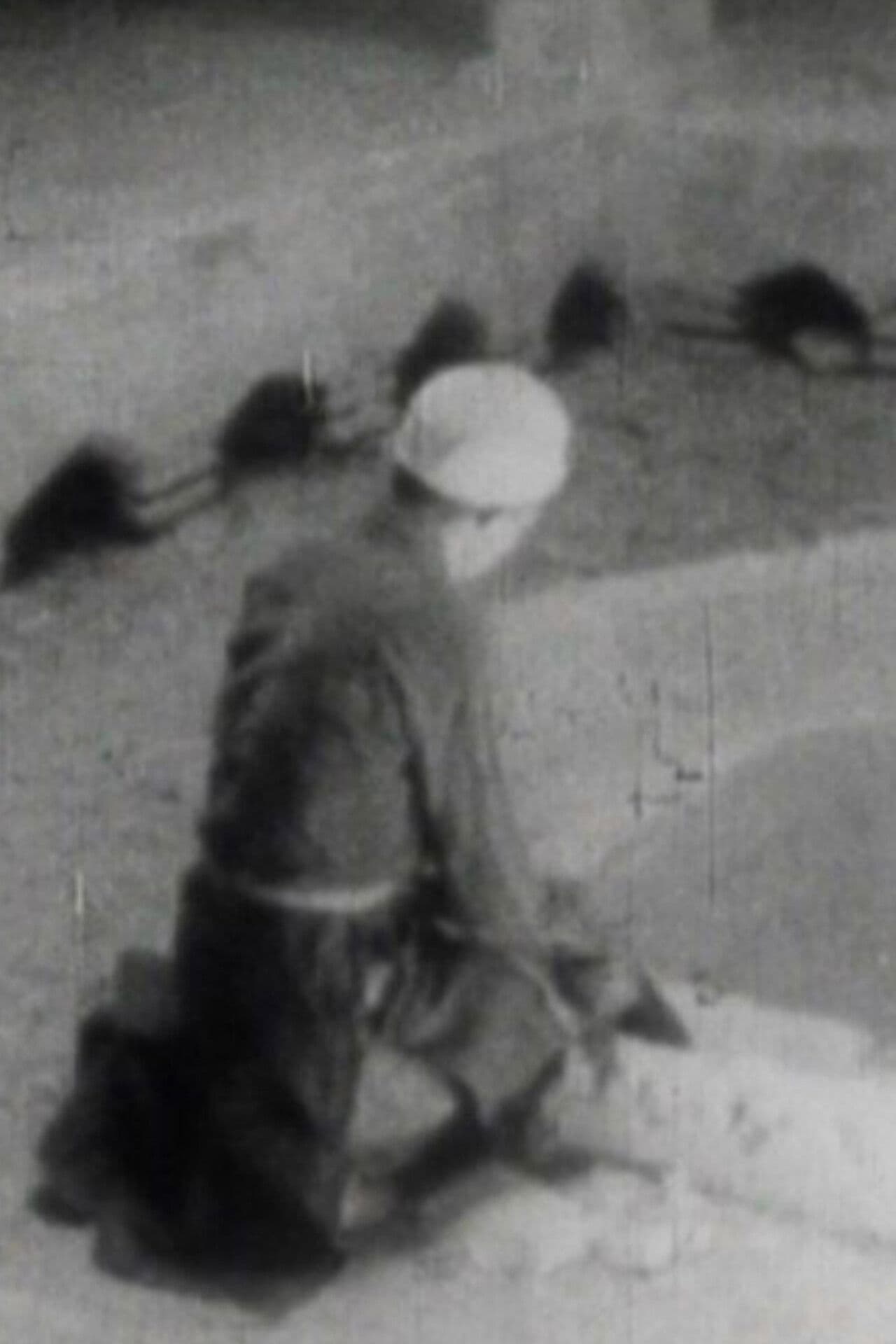 From Isfahan to Abarkooh