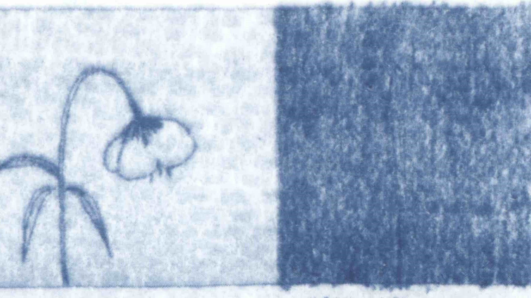 Blue Dreams of the Wind