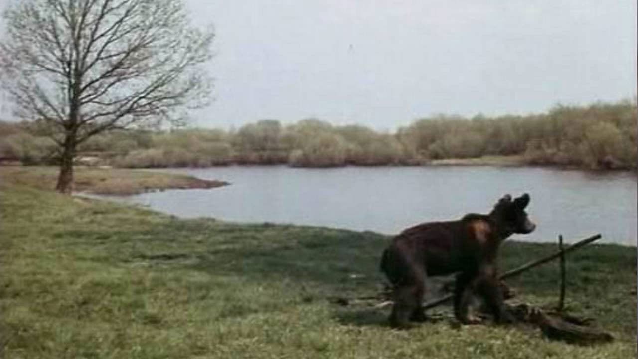 Little Bear, Baby and Others