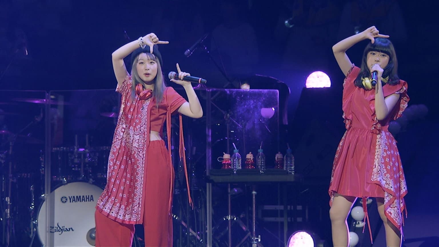 Little Glee Monster Live in 武道館～はじまりのうた～