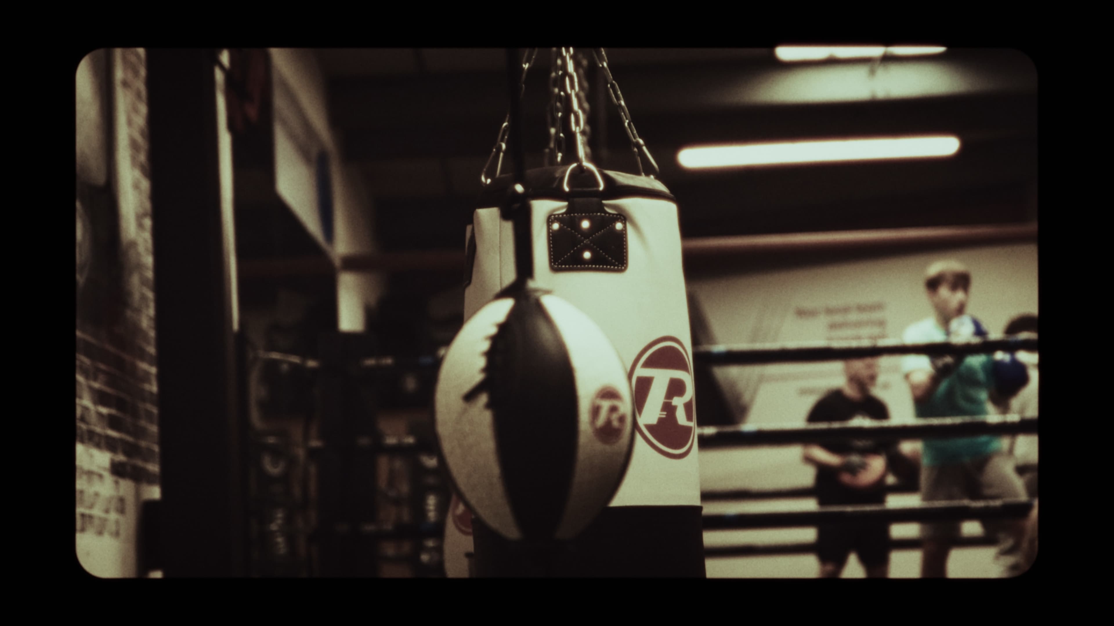 The Noble Art of Boxing