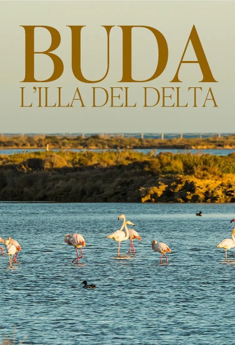 Buda, l'illa del Delta