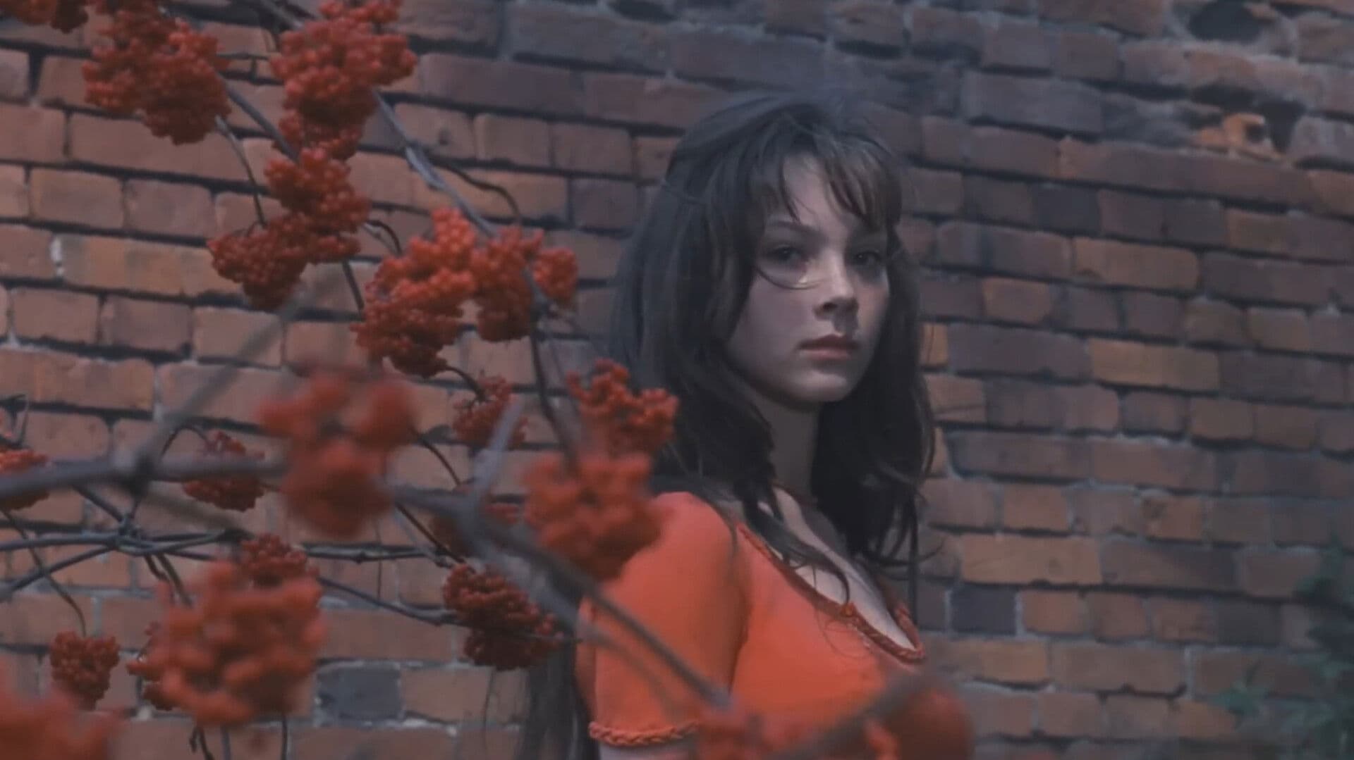 My Tender and Affectionate Beast