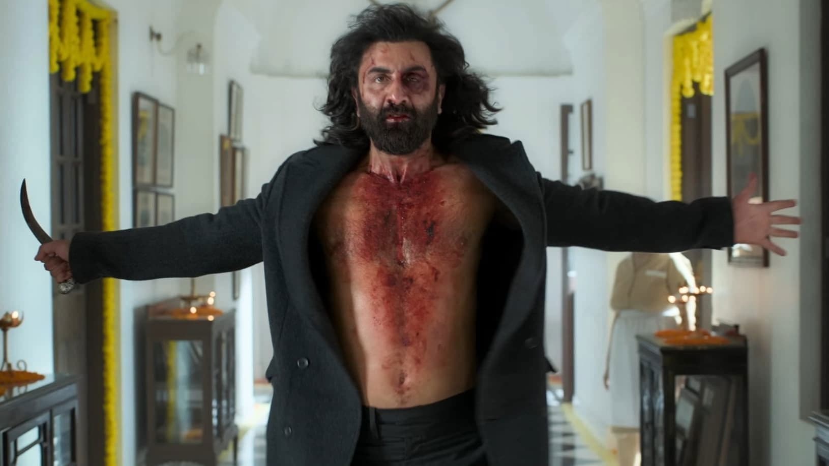 The Animal Collection