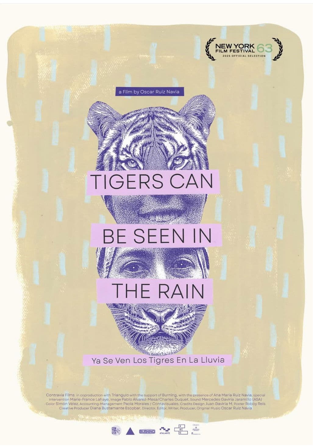 Tigers Can Be Seen In The Rain