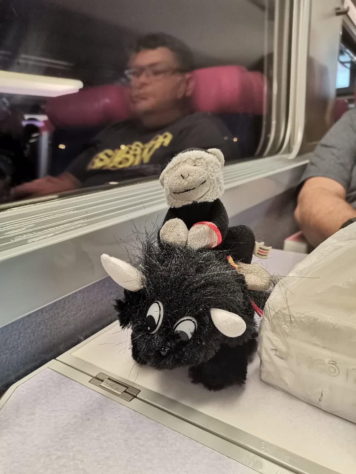 El monito se fue de viaje