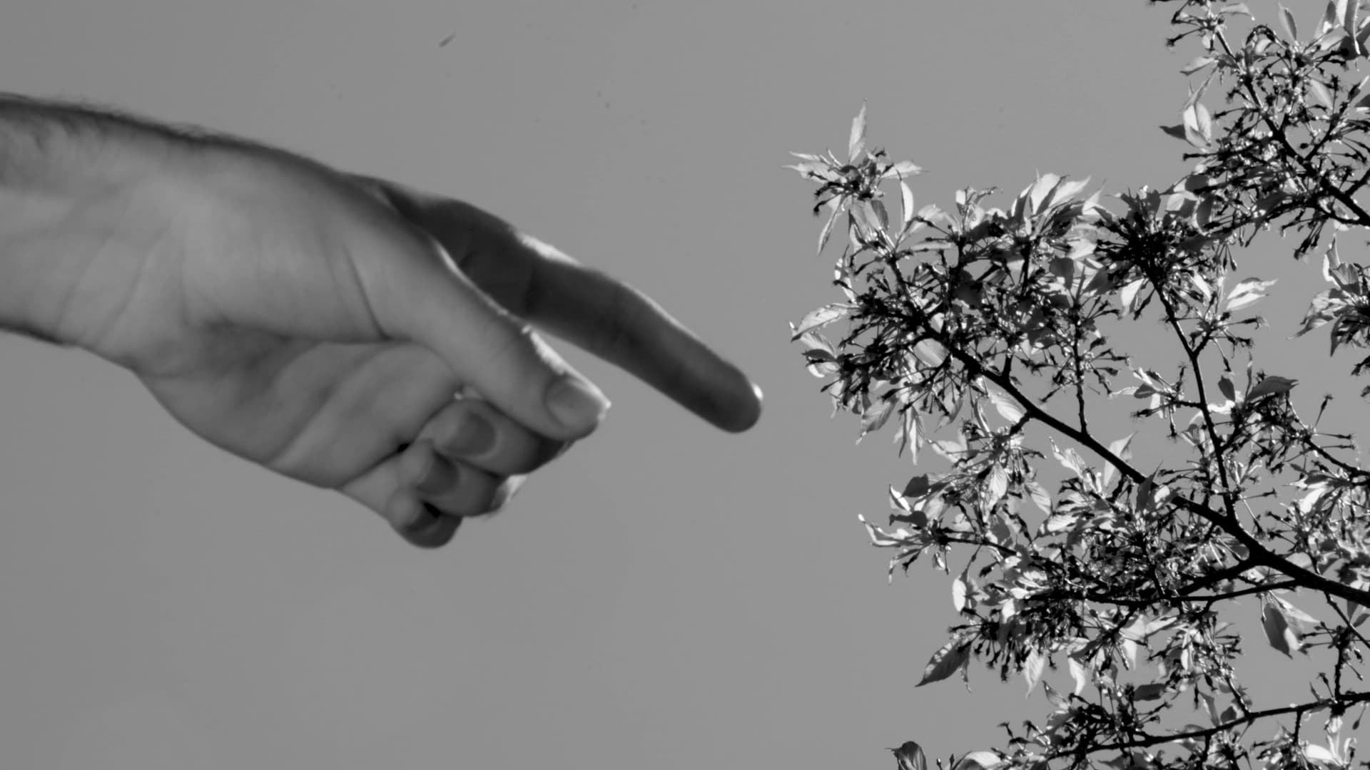 Mouthful of Soil