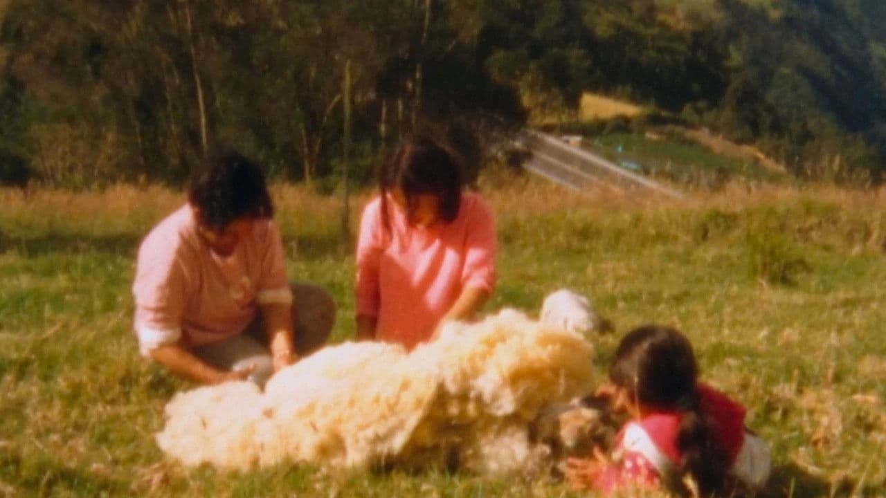 When They Left, All that Remained was a Small Noise in the Mountain