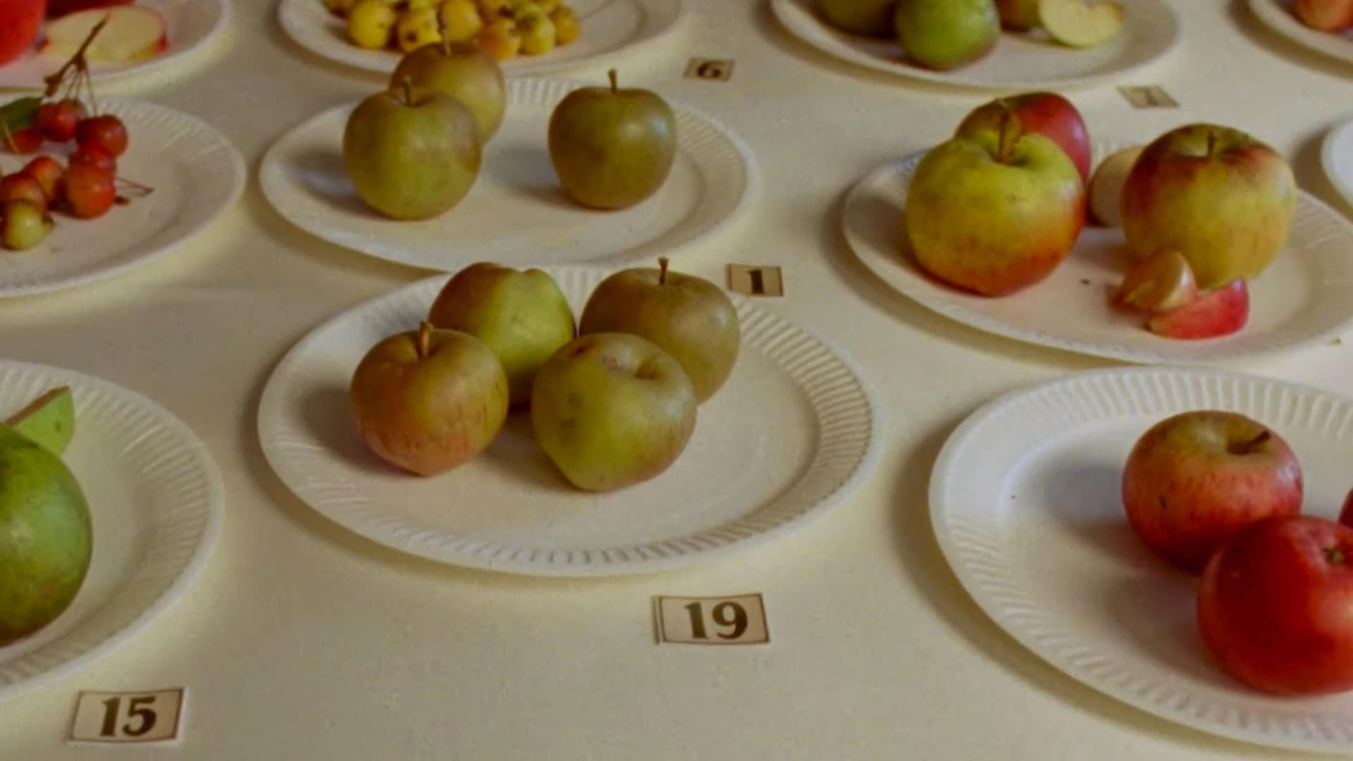 Some Interesting Apples