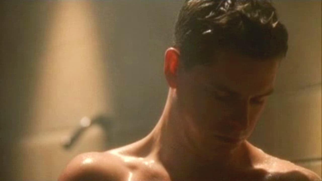 Boys Briefs Collection