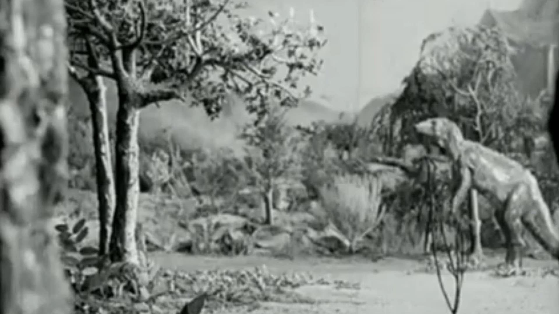 Along the Moonbeam Trail